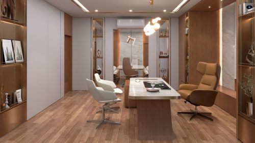 CEO-Office-01